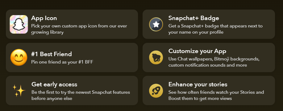 Snapchat Plus Feature