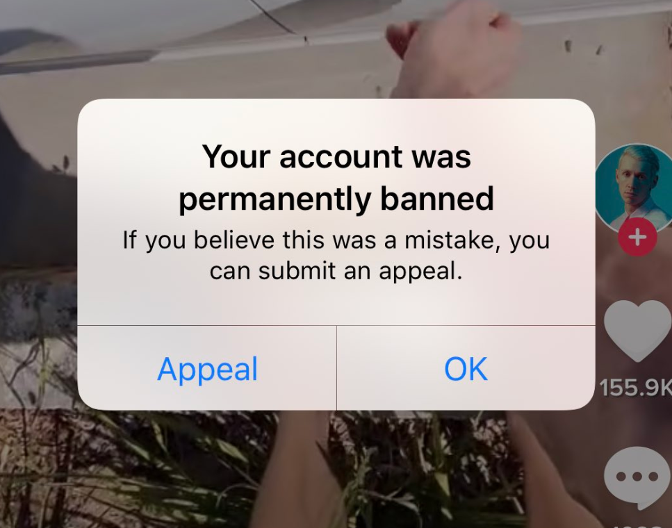 Submit an Appeal on tiktok (2)
