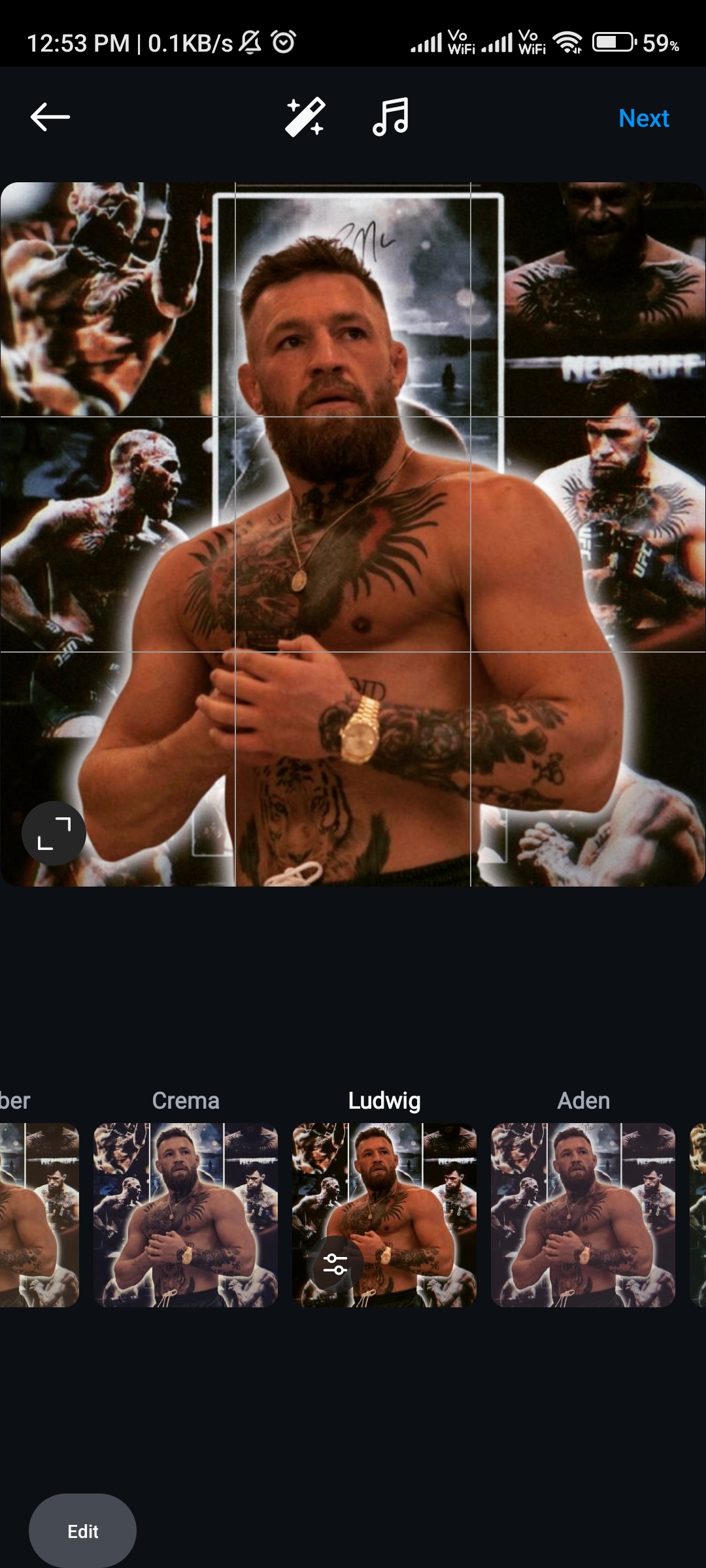 Popular Instagram Filter Ludwig