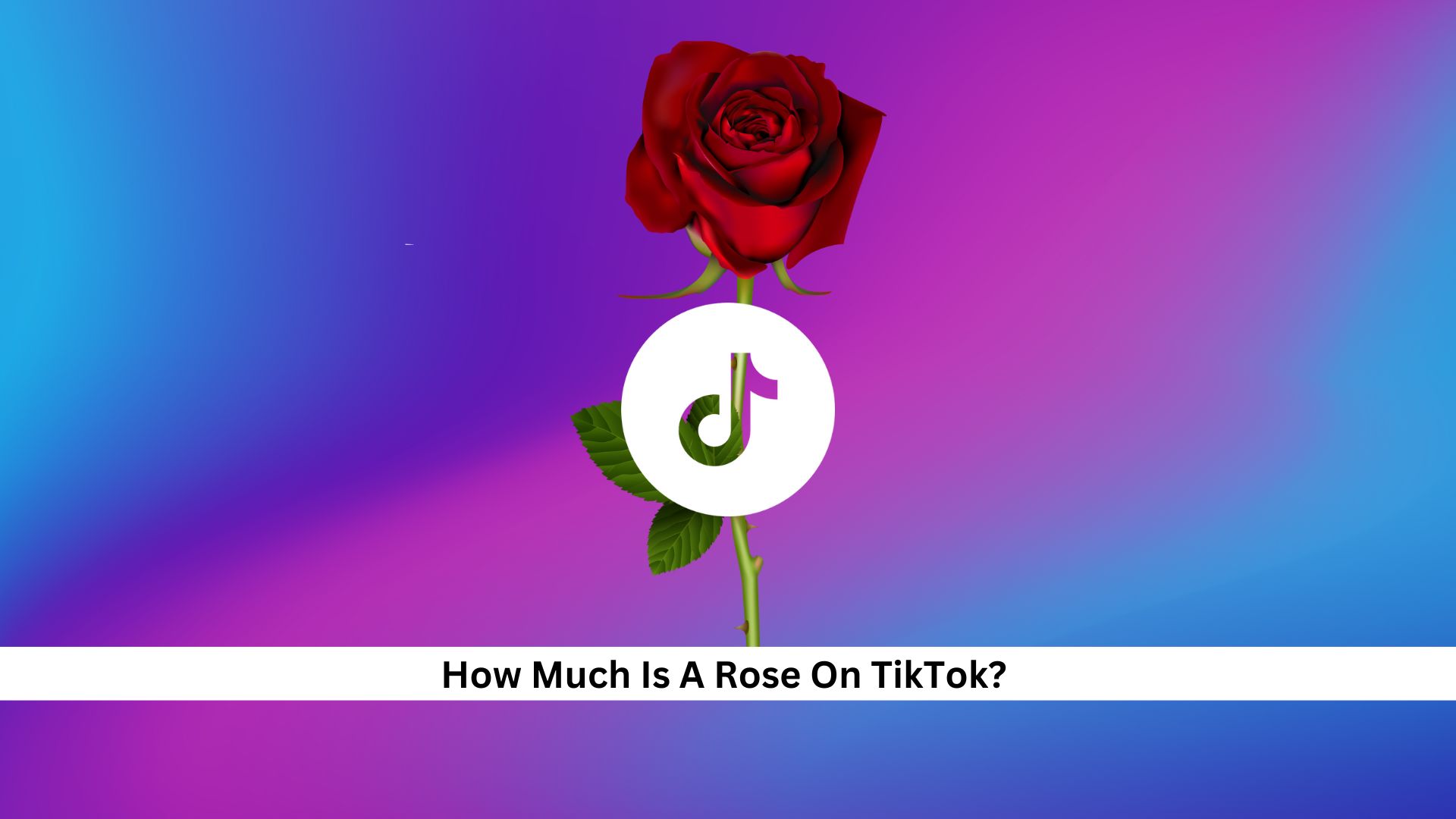 How-Much-Is-A-Rose-On-TikTok