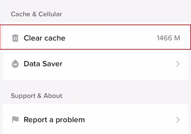 Steps to Clear TikTok Cache For iPhone Users