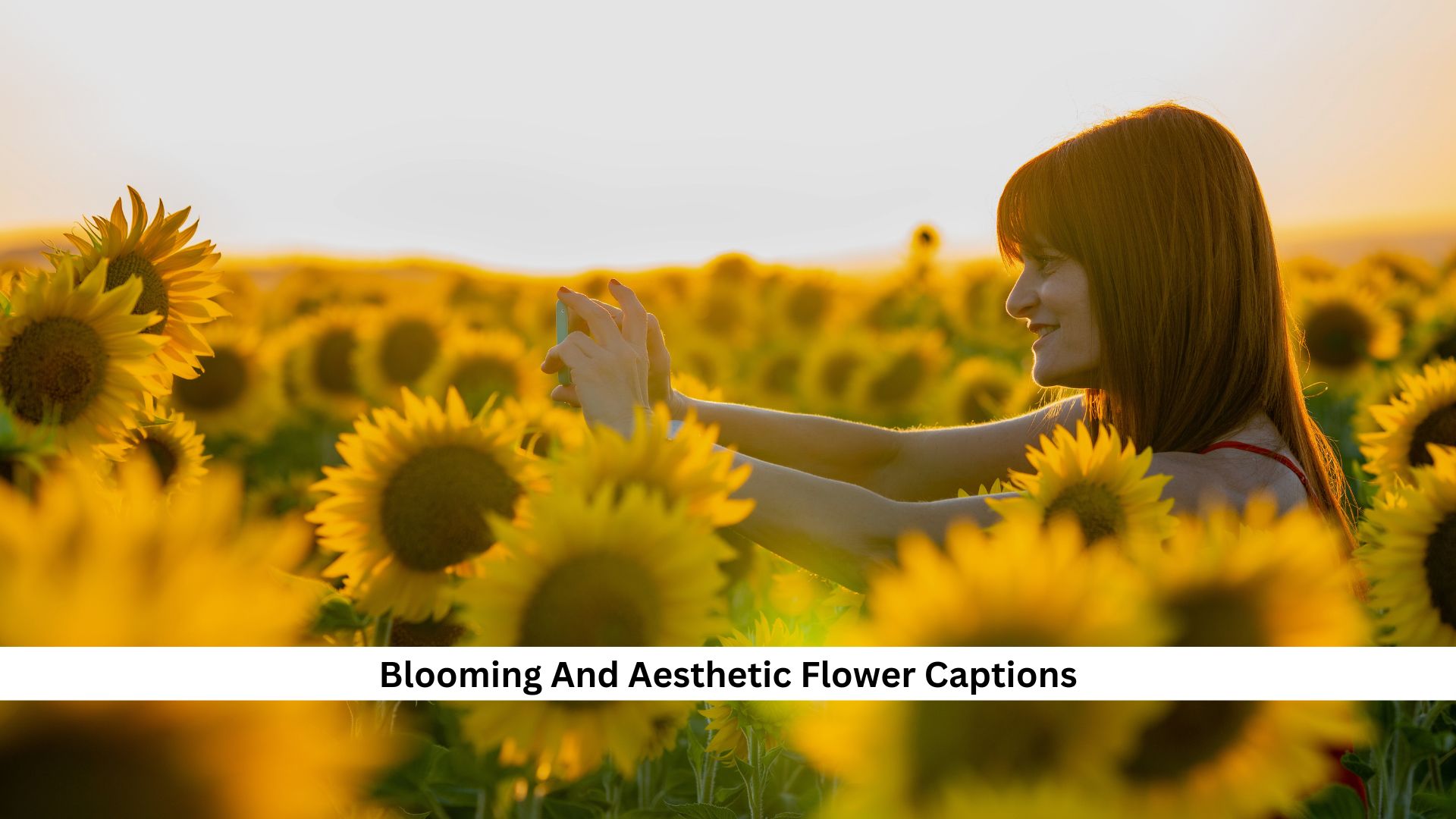 Blooming-And-Aesthetic-Flower-Captions