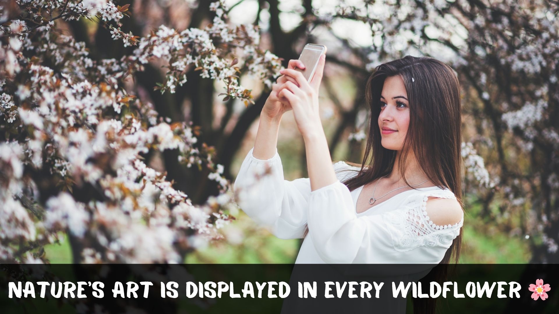 Wildflower Captions For Instagram