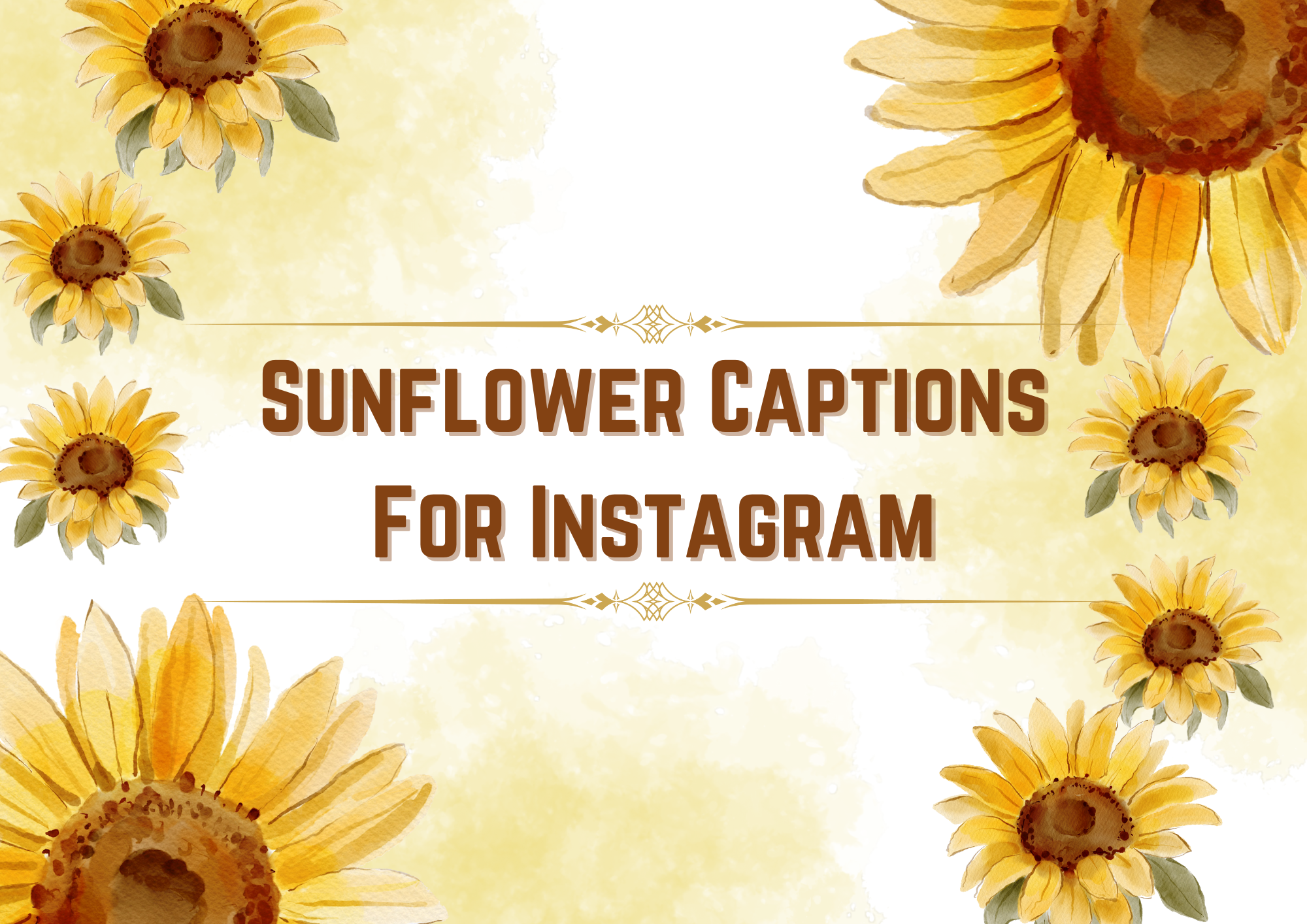 115+ Sunflower Captions For Instagram (Newest Collection)